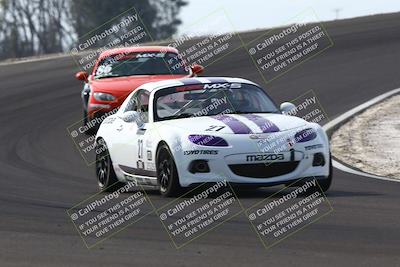 media/Feb-22-2025-CalClub SCCA (Sat) [[57201885c5]]/Group Two/Group 2B/